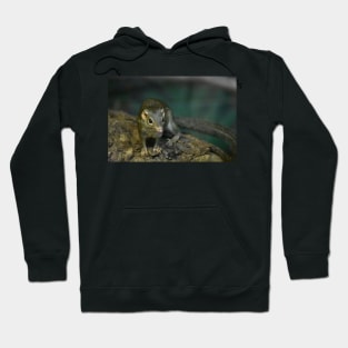 Shrew Hoodie